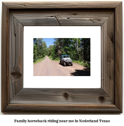 family horseback riding near me in Nederland, Texas